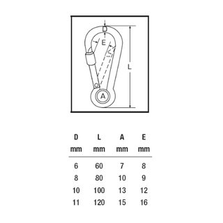 Carabiner with lock nut and thimble 10 x 100 mm A4 stainless steel